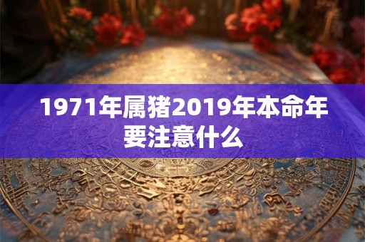 1971年属猪2019年本命年要注意什么
