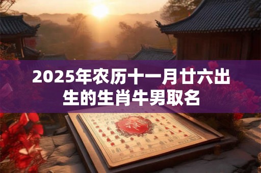 2025年农历十一月廿六出生的生肖牛男取名