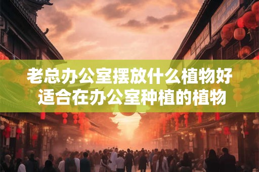老总办公室摆放什么植物好 适合在办公室种植的植物