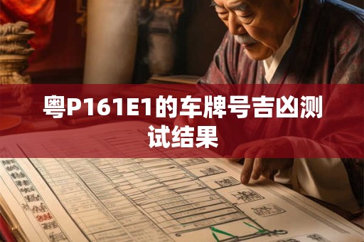 粤P161E1的车牌号吉凶测试结果