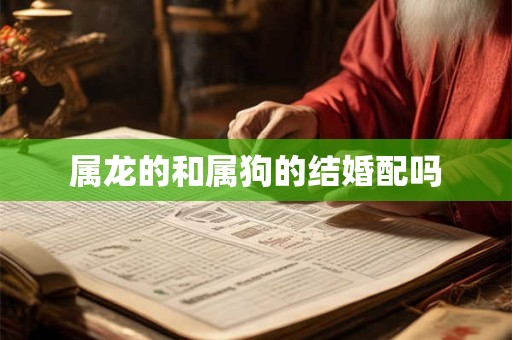 属龙的和属狗的结婚配吗
