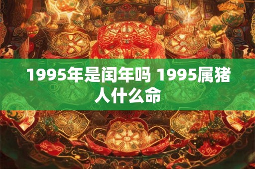 1995年是闰年吗 1995属猪人什么命 1995年是闰年吗 1995属猪人什么命