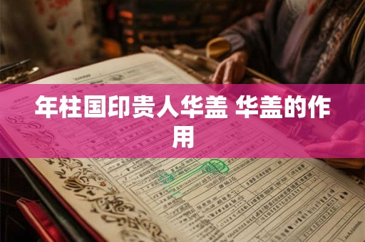 年柱国印贵人华盖 华盖的作用