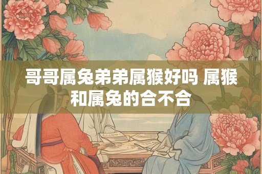 哥哥属兔弟弟属猴好吗 属猴和属兔的合不合