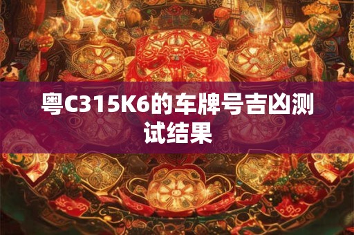 粤C315K6的车牌号吉凶测试结果