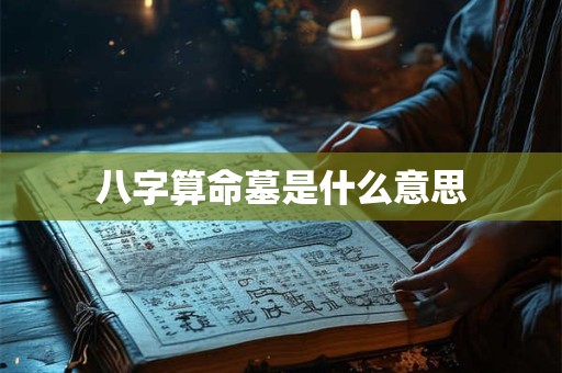 八字算命墓是什么意思