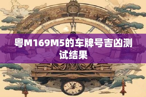 粤M169M5的车牌号吉凶测试结果