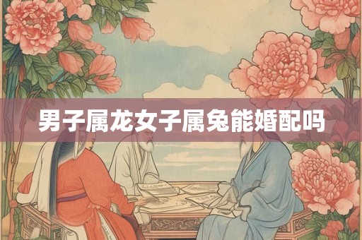 男子属龙女子属兔能婚配吗