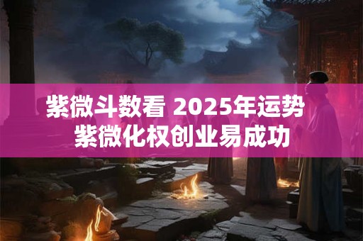 紫微斗数看 2025年运势  紫微化权创业易成功