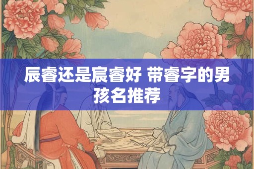 辰睿还是宸睿好 带睿字的男孩名推荐