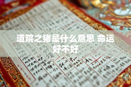 道院之猪是什么意思 命运好不好 道院之猪是什么意思 命运好不好