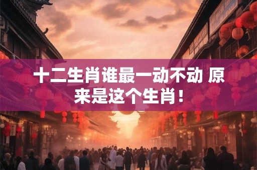 十二生肖谁最一动不动 原来是这个生肖！