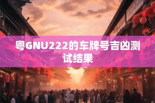 粤GNU222的车牌号吉凶测试结果