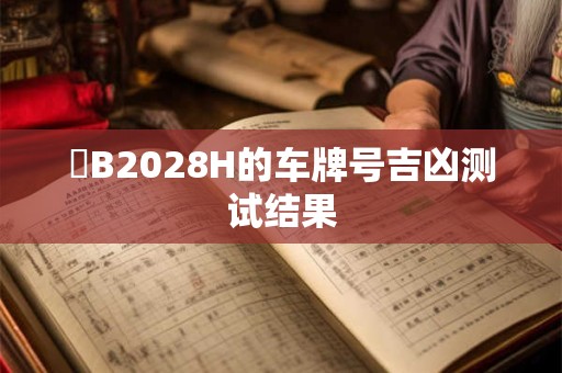 粵B2028H的车牌号吉凶测试结果