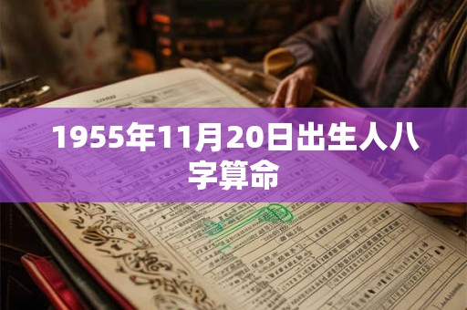 1955年11月20日出生人八字算命