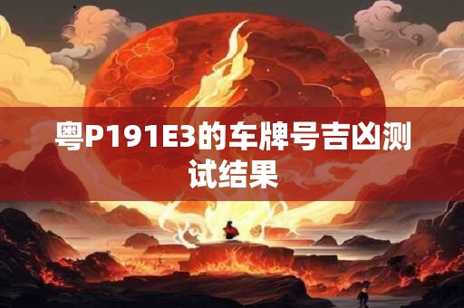 粤P191E3的车牌号吉凶测试结果