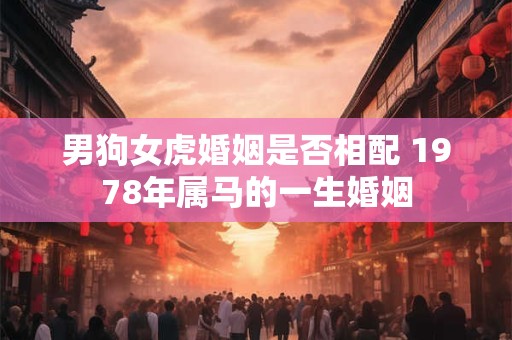 男狗女虎婚姻是否相配 1978年属马的一生婚姻