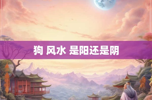 狗 风水 是阳还是阴