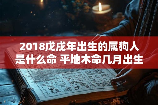 2018戊戌年出生的属狗人是什么命 平地木命几月出生好
