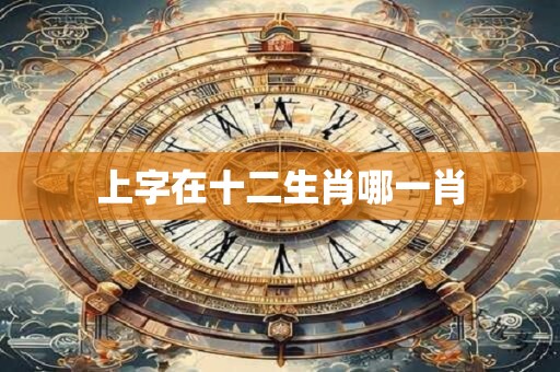 上字在十二生肖哪一肖