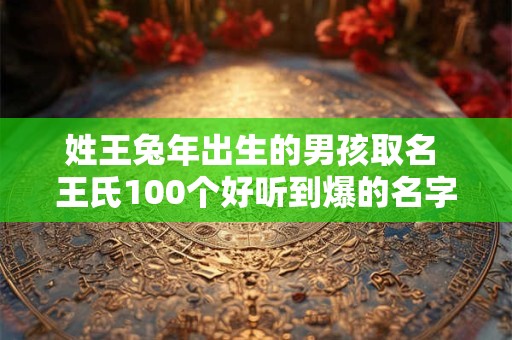 姓王兔年出生的男孩取名 王氏100个好听到爆的名字