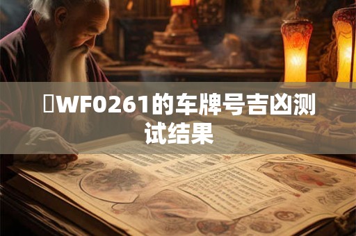 粵WF0261的车牌号吉凶测试结果