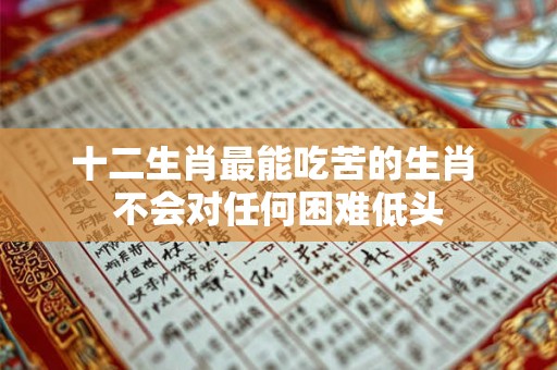 十二生肖最能吃苦的生肖 不会对任何困难低头