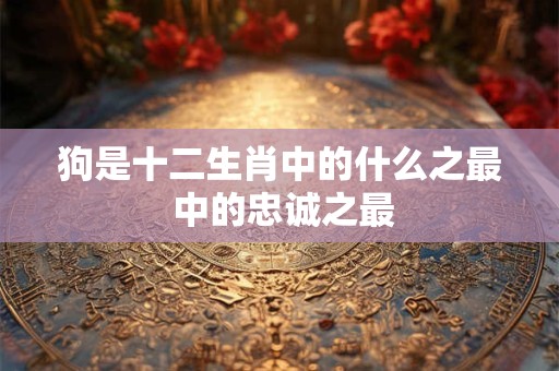 狗是十二生肖中的什么之最 中的忠诚之最