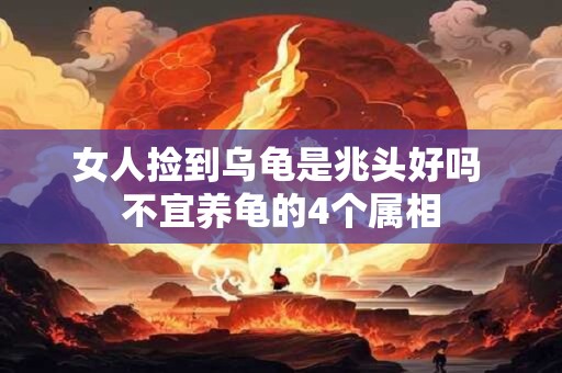 女人捡到乌龟是兆头好吗 不宜养龟的4个属相