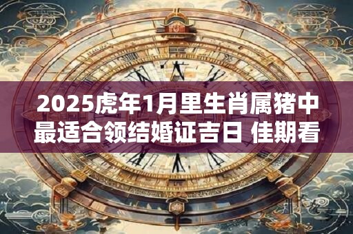 2025虎年1月里生肖属猪中最适合领结婚证吉日 佳期看八字 2025虎年1月里生肖属猪中最适合领结婚证吉日 佳期看八字