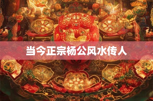 当今正宗杨公风水传人