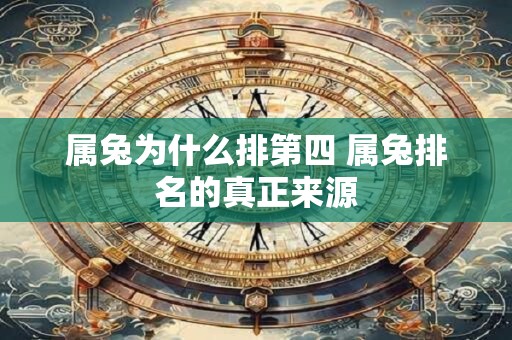 属兔为什么排第四 属兔排名的真正来源
