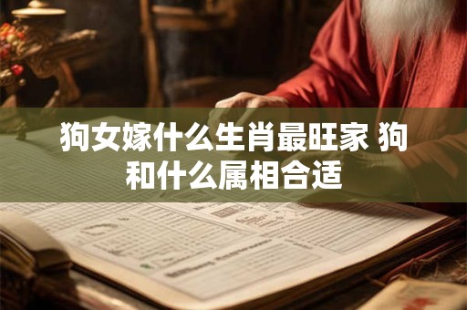 狗女嫁什么生肖最旺家 狗和什么属相合适
