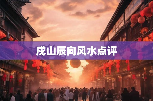 戍山辰向风水点评