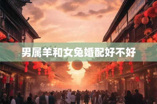男属羊和女兔婚配好不好