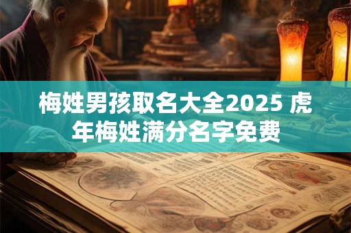 梅姓男孩取名大全2026 虎年梅姓满分名字免费 梅姓男孩取名大全2026 虎年梅姓满分名字免费