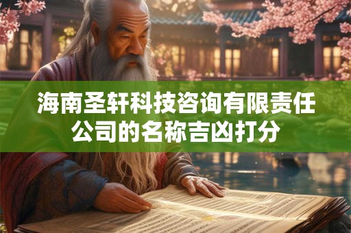 海南圣轩科技咨询有限责任公司的名称吉凶打分