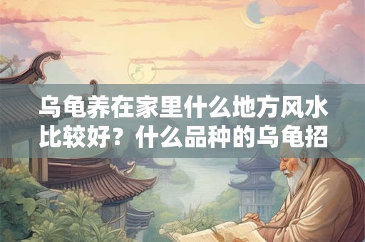 乌龟养在家里什么地方风水比较好？什么品种的乌龟招财？