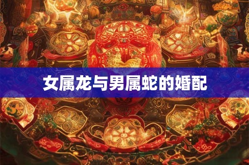 女属龙与男属蛇的婚配