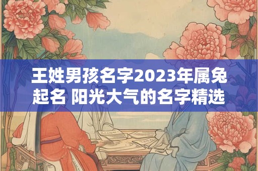 王姓男孩名字2023年属兔起名 阳光大气的名字精选