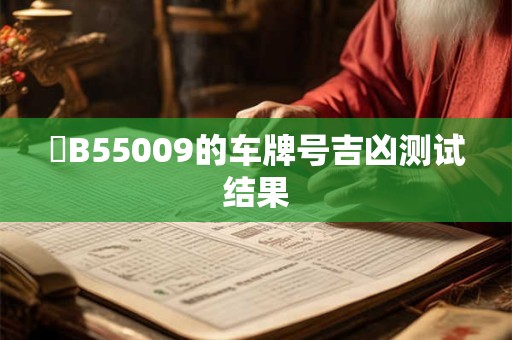 遼B55009的车牌号吉凶测试结果