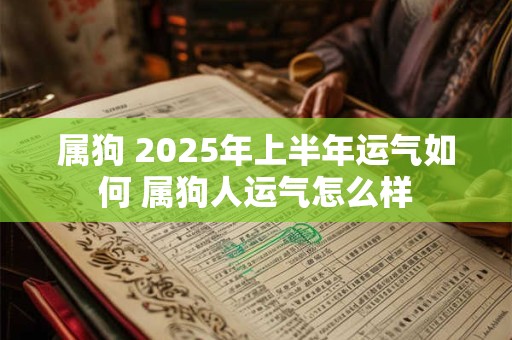 属狗 2025年上半年运气如何 属狗人运气怎么样