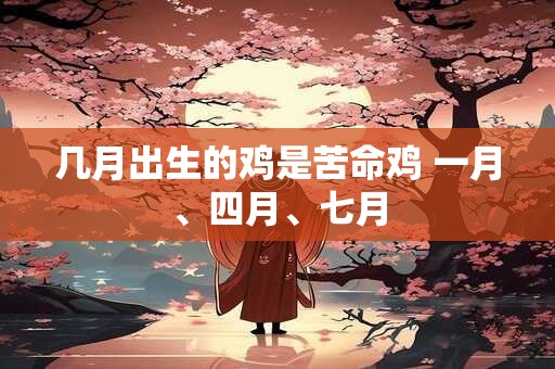 几月出生的鸡是苦命鸡 一月、四月、七月