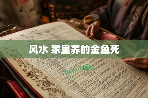 风水 家里养的金鱼死