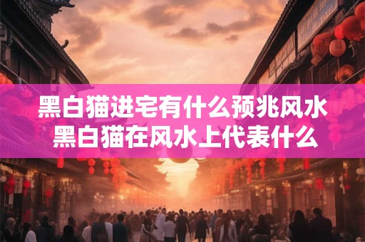 黑白猫进宅有什么预兆风水 黑白猫在风水上代表什么