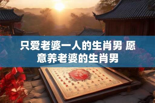 只爱老婆一人的生肖男 愿意养老婆的生肖男