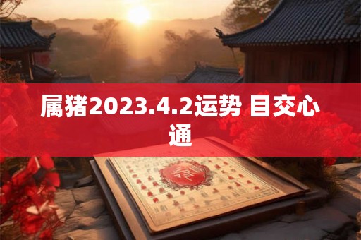 属猪2023.4.2运势 目交心通