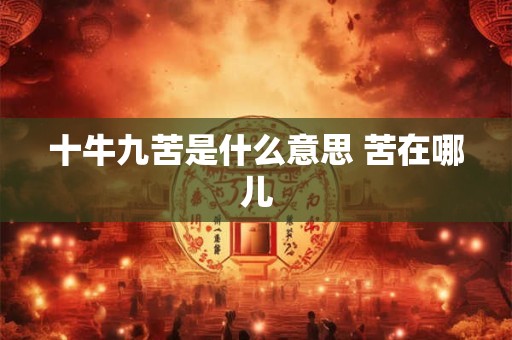 十牛九苦是什么意思 苦在哪儿