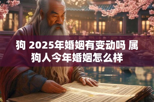 狗 2025年婚姻有变动吗 属狗人今年婚姻怎么样