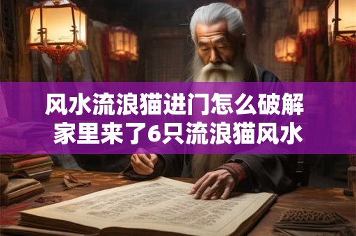 风水流浪猫进门怎么破解 家里来了6只流浪猫风水
